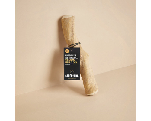 Dog toy CANOPHERA dog chew stick made of coffee wood size M approx. 22 - 26 cm, for dogs up to 20 kg brown, stress relief, dental care, employment