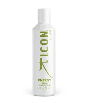 ICON Energy
