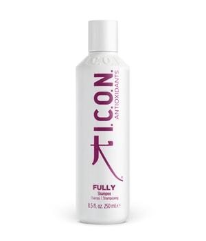 ICON Fully