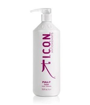ICON Fully