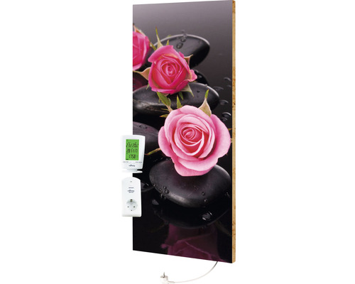 Marmony Infrared image heater Harmony Motiv 84001 100x40 cm 800 watts