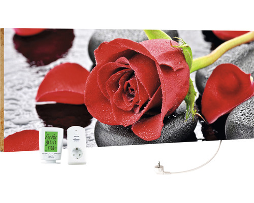 Infrared image heater Marmony Red Rose 83017 100x40 cm 800 watts