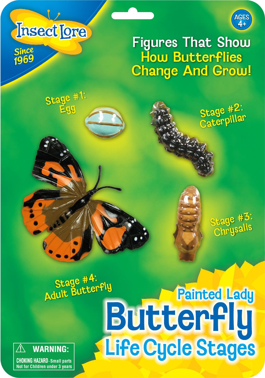 Insect Lore Butterfly Life Cycle Stages
