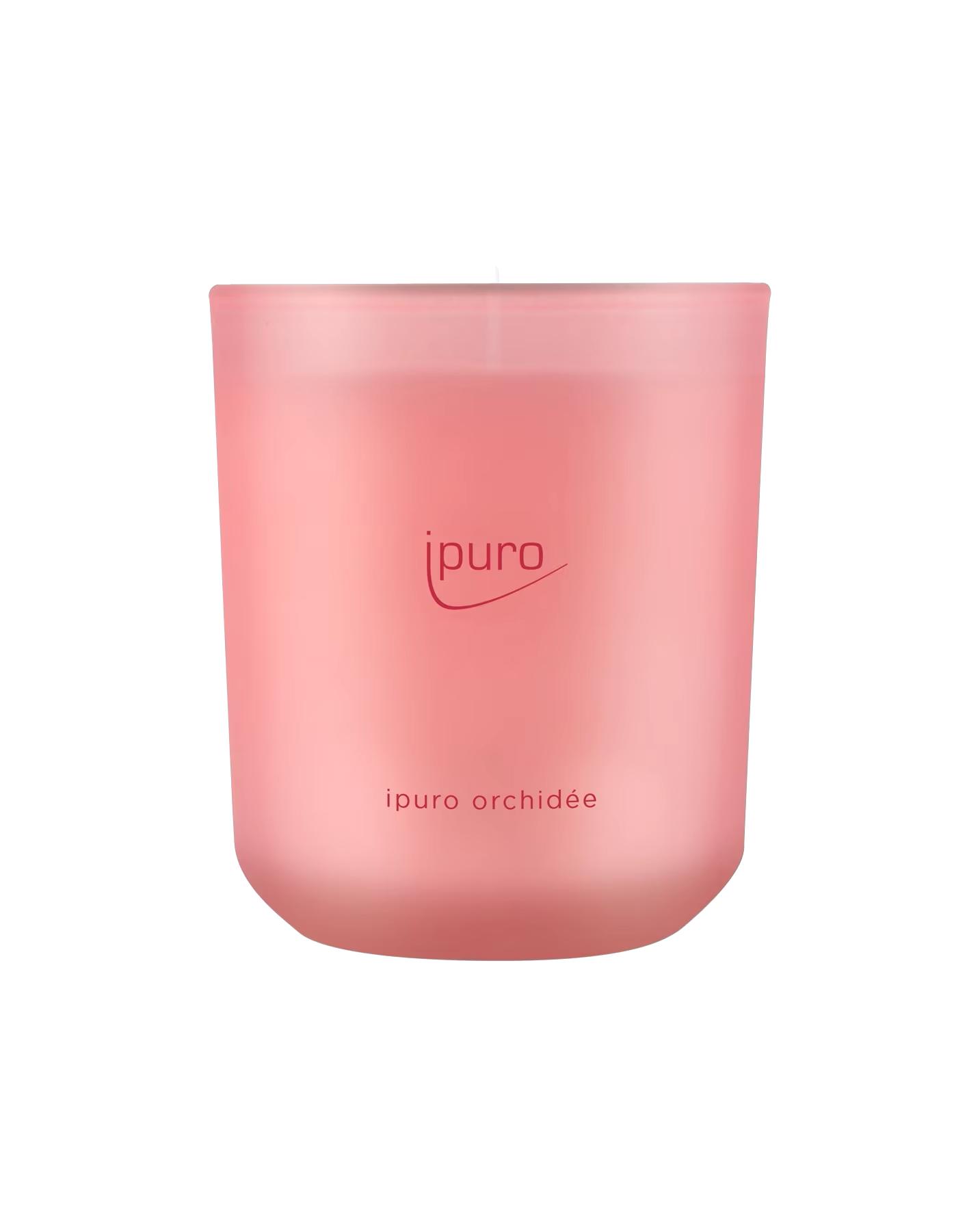 ipuro candle orchid