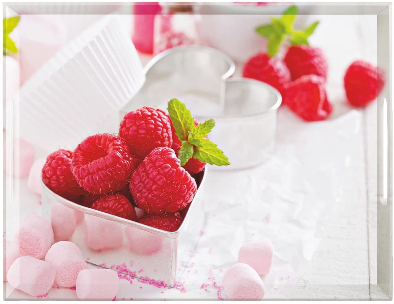 Emsa Classic Tray, 50 X 37 Cm