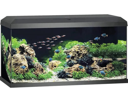 Juwel aquarium incl. cover lighting filter system including circulation pump internal filter heater/heating rod 81 x 36 x 43.5 cm, approx. 110 l