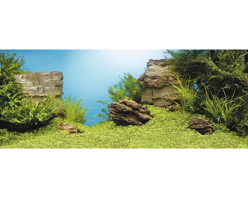 Juwel Aquarium Juwel back wall poster plants/rocks 100 x 50 cm