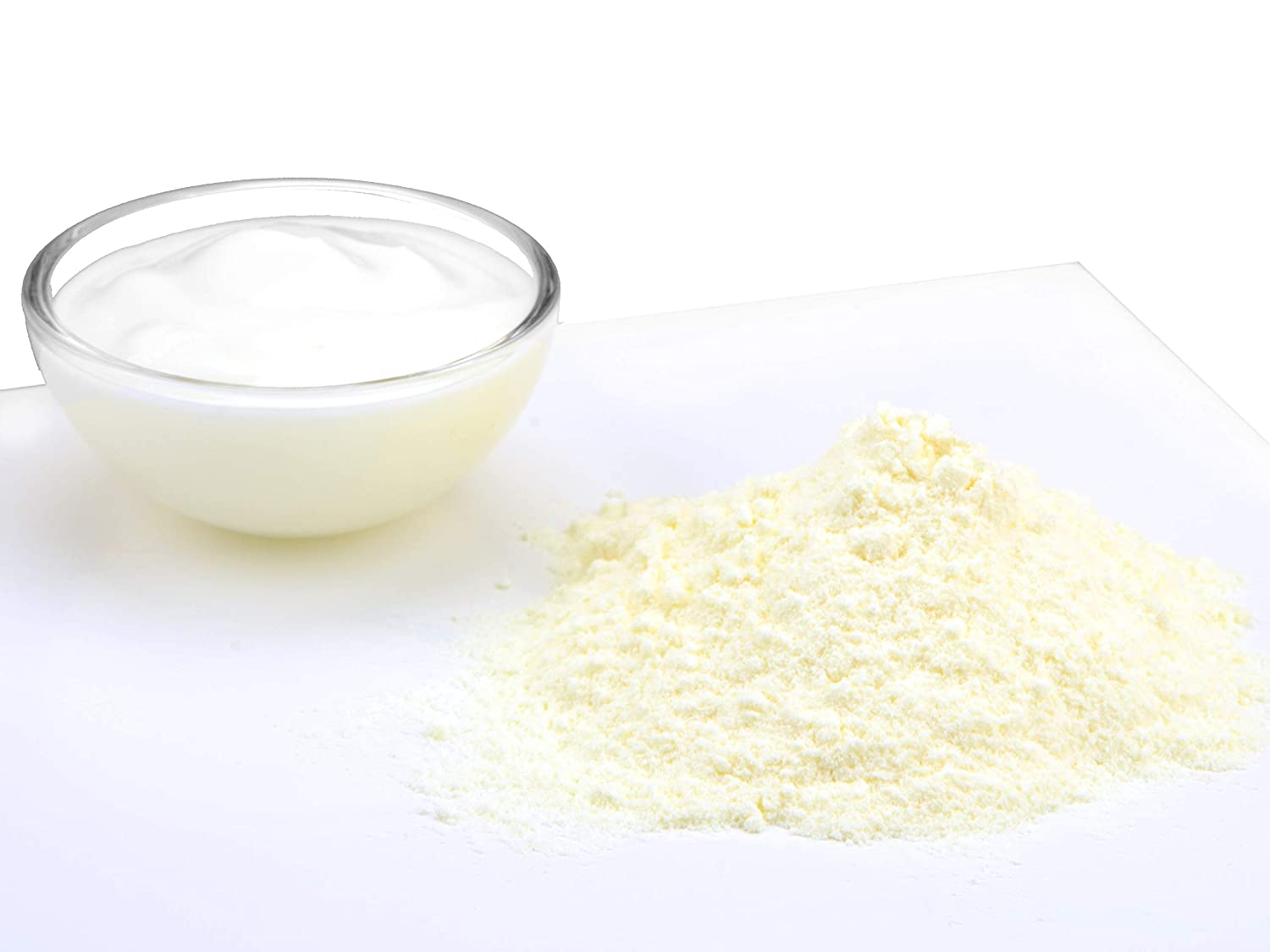Pati-Versand Joghurt-Pulver 100g