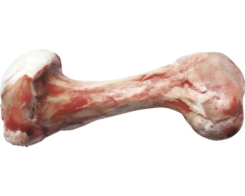 DIBO® 1 piece of deep-frozen veal bone