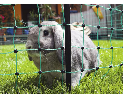 Hornbach Rabbit net, single tip 12 m x 65 cm green