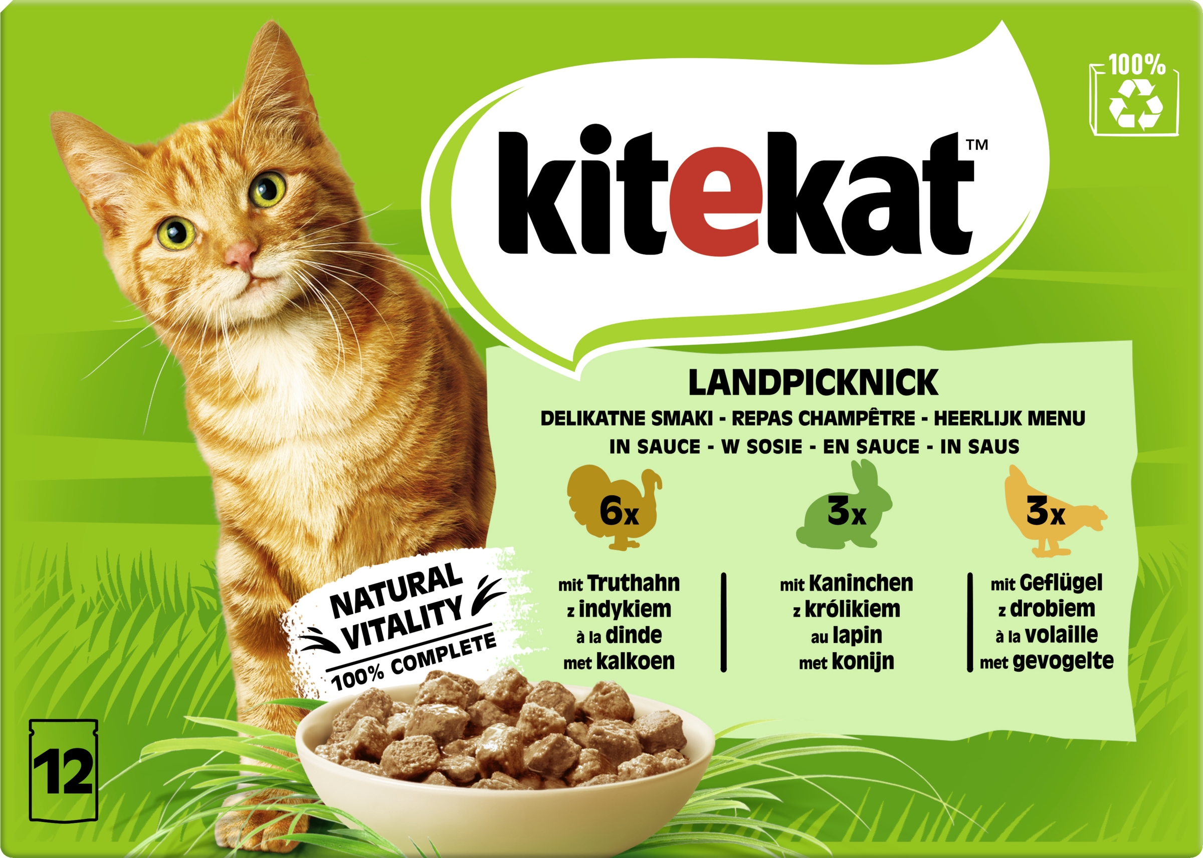 Kitekat Cat wet food portion bag multipack land picnic in sauce