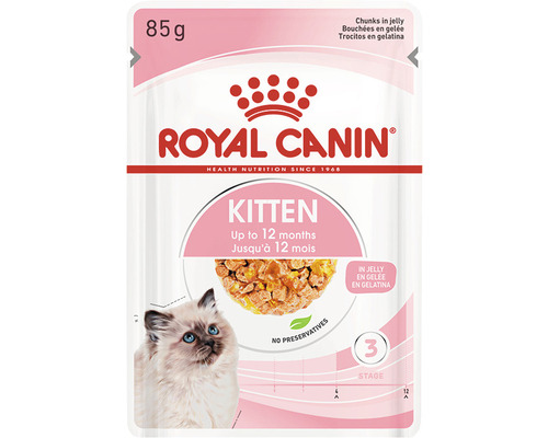 RoyalCanin Wet cat food ROYAL CANIN Kitten in jelly 85 g