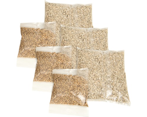 Catit Cat grass seeds cat it Senses 2.0 Cat Grass Kit set of 3