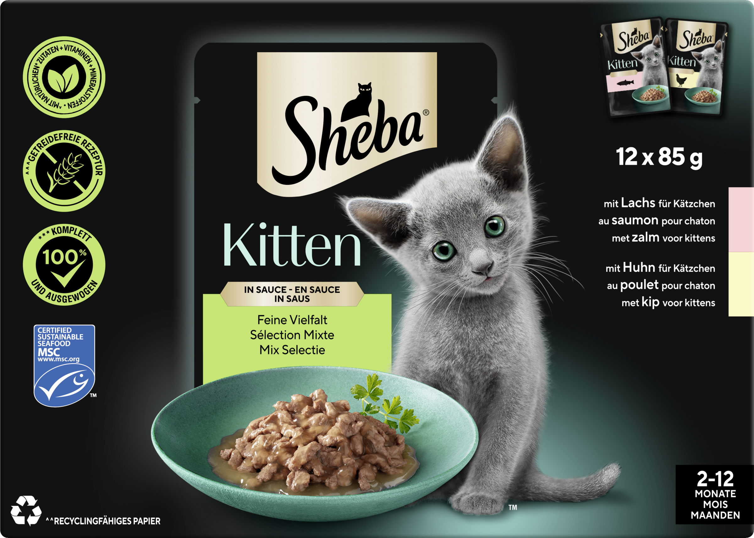 Sheba Kitten Fine variety in sauce Fine variety with salmon with chicken