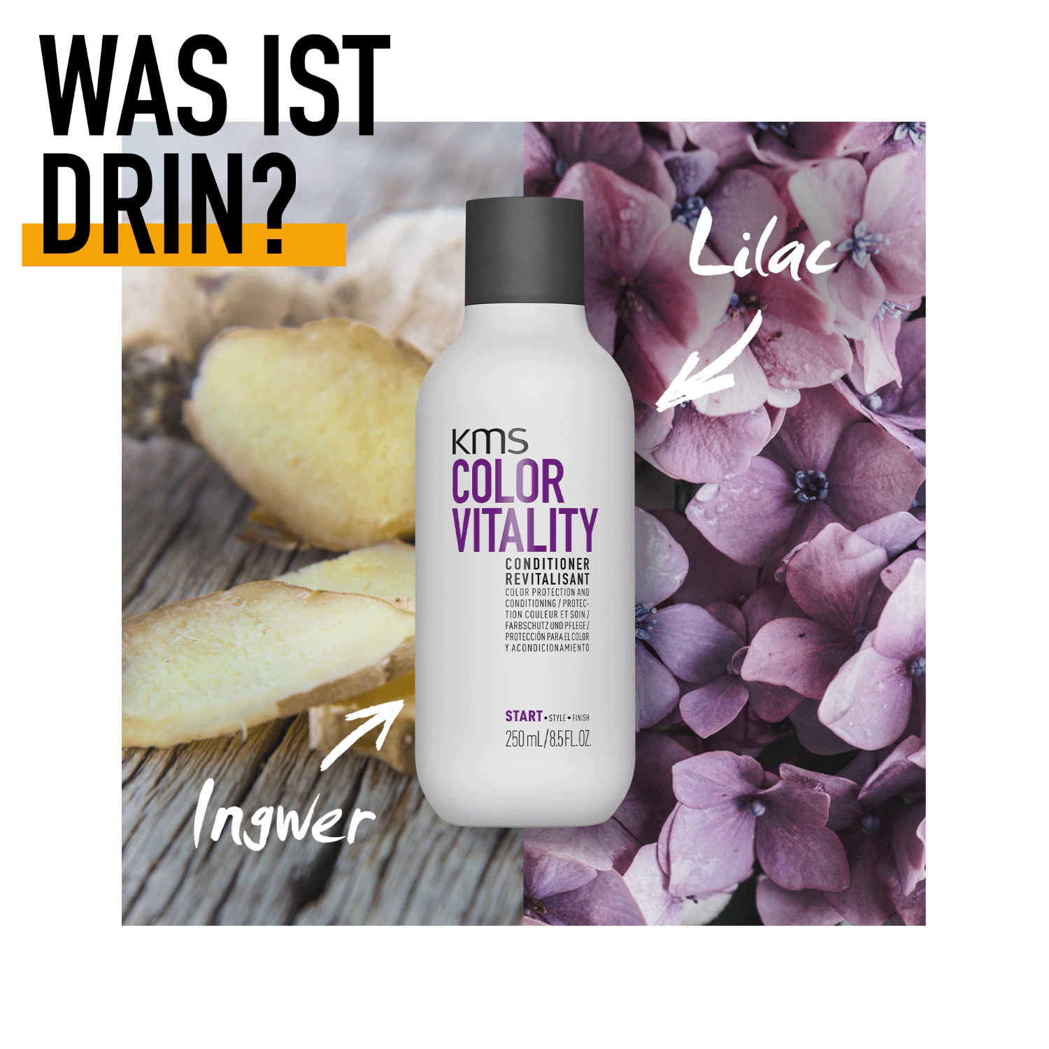 KMS Conditioner Colorvitality Pouch