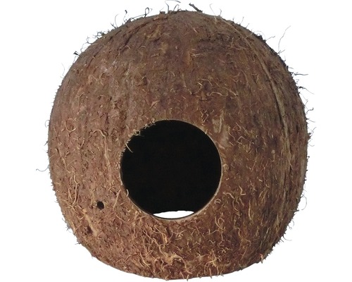 ORBIT Coconut Cave Size 2 10x10cm