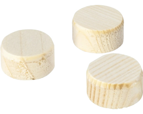 Cone plates Wolfcraft Ø 20 mm pack of 40