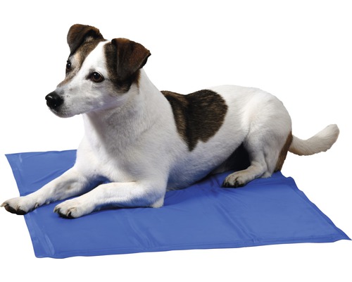 dobar Cooling mat M 50 x 40 cm blue