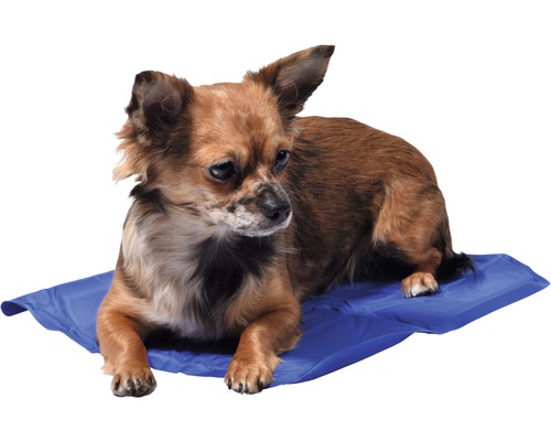 dobar Cooling mat S 40 x 30 cm blue