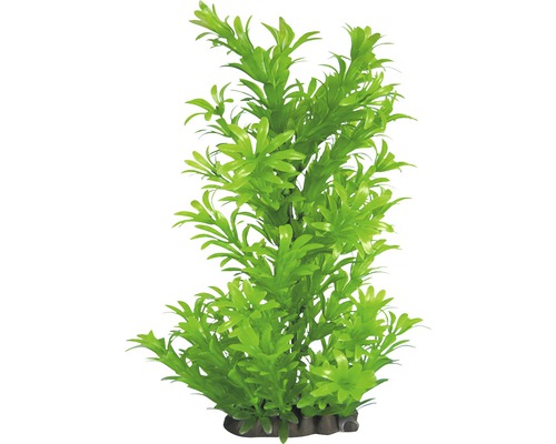 ORBIT Plastic aquatic plant Deluxe Medium No. 16 17 cm