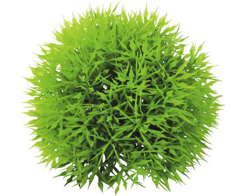 ORBIT Plastic aquatic plant Deluxe Small No. 9 12 cm