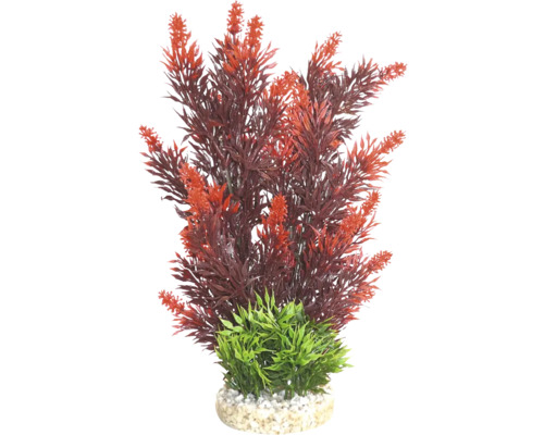sydeco Aqua Bouquet Plant, red, approx. 23 cm (approx.)