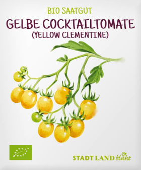 Stadt Land blüht Seeds Yellow cocktail tomato seeds, variety Yellow Clementine, 1 pc