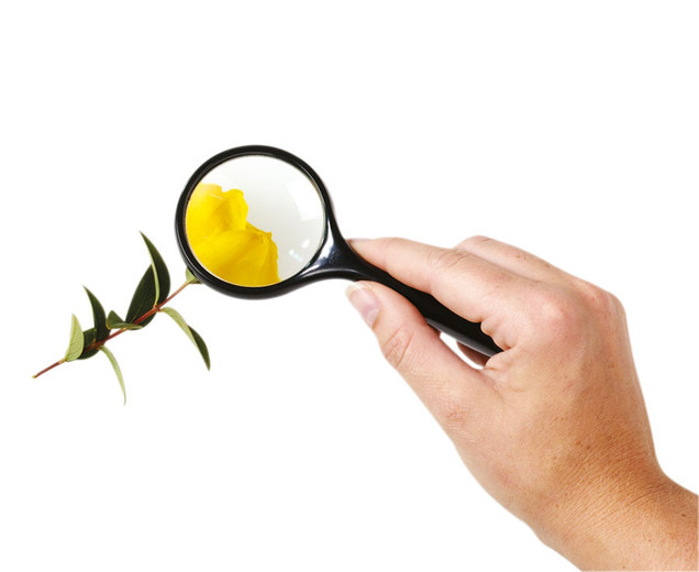 Betzold Magnifier With Handle