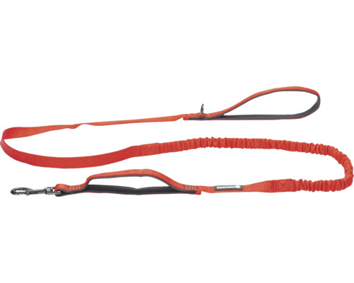 Beeztees Premium Elastic Dog Leash 180 x 2 cm Red Elastic Nylon