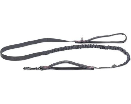 Beeztees Premium Elastic Dog Leash 180 x 2 cm Black Elastic Nylon