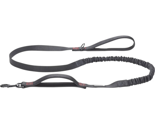 Beeztees Premium Elastic Dog Leash 180 x 2.5 cm Black Elastic Nylon