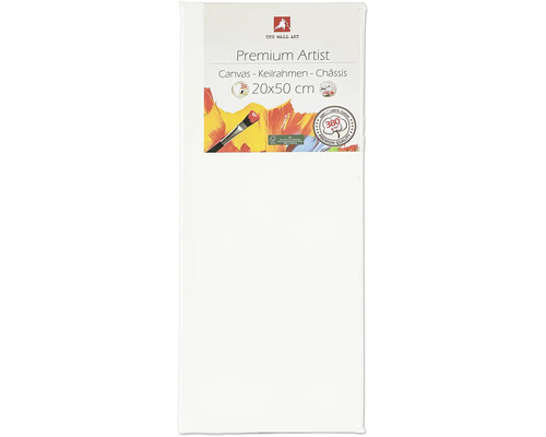 Canvas for painting 20x50 cm