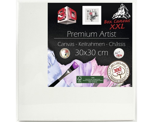 The Wall Canvas for painting double thickness 30x30 cm