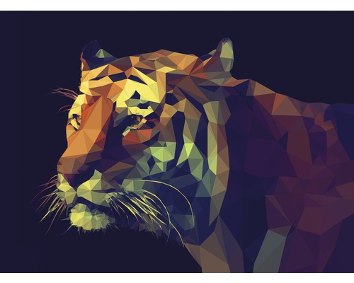 Pure Living Canvas picture Colorful Tiger 84x116 cm