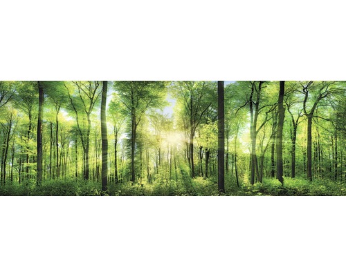 The Wall Canvas picture Fresh Green 150x50 cm
