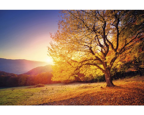 The Wall Canvas picture Goldentree 150x100 cm