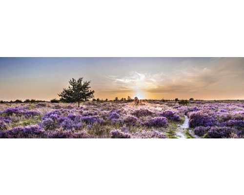 The Wall Canvas picture Heidefeld 150x50 cm