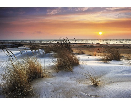 The Wall Canvas picture Helmgras&Dunes 80x116 cm