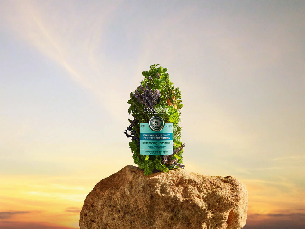 LOCCITANE L’Occitane Aromachologie the cleansing shampoo for normal to oily hair