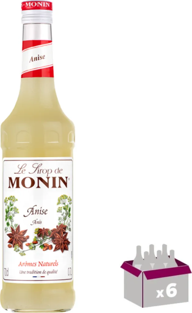 Lot de 6 Sirop Monin - Anise - 70cL