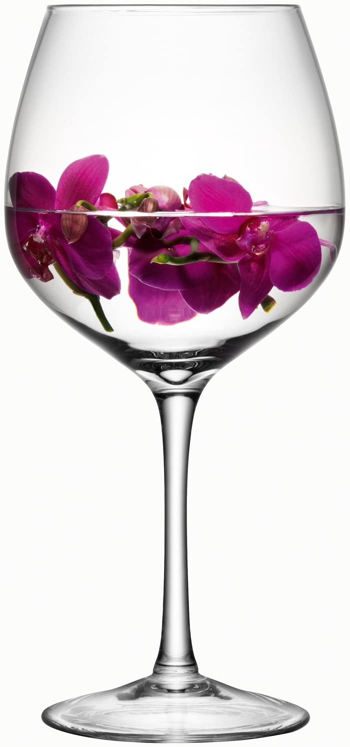 LSA Midi Wine Glass 3.8 Litre Giant A Gigantic Glassware Wine Glass, Oversized Wine Glass