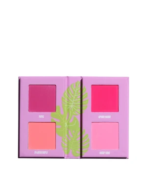 Made By Mitchell Mini Blursh Book Pressed Blusher Palette