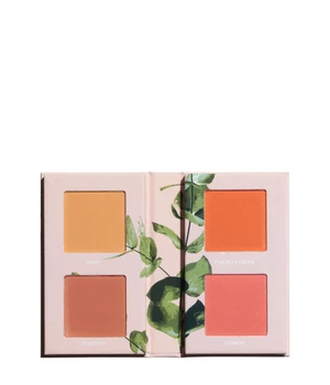 Made By Mitchell Mini Blursh Book Pressed Blusher Palette