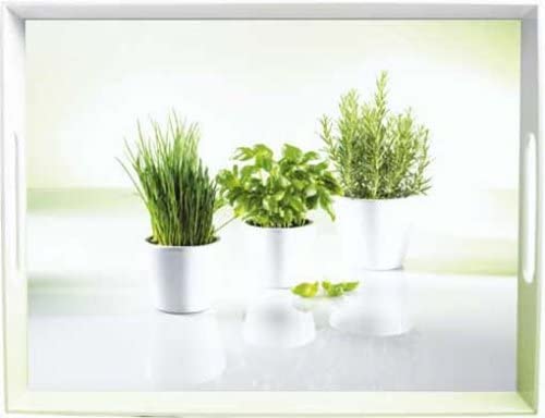 Emsa Classic Tray, 40 X 31 Cm