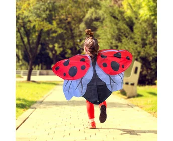 Ladybug wings