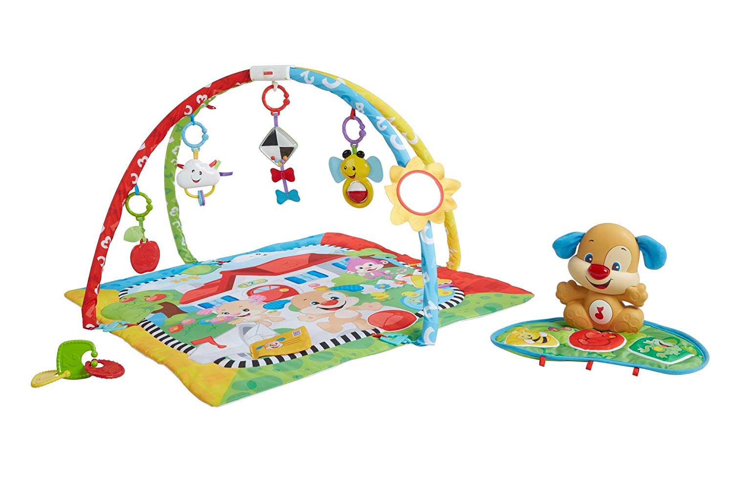 Fisher Price Mattel Fisher-Price Doggie Fbd45 Learning Fun Play Mat, Multi-Colour