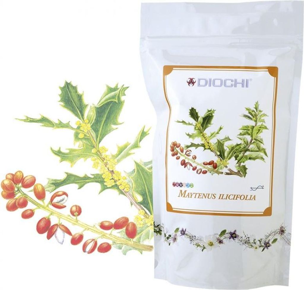 DIOCHI Maytenus ilicifolia - tea, 150 g
