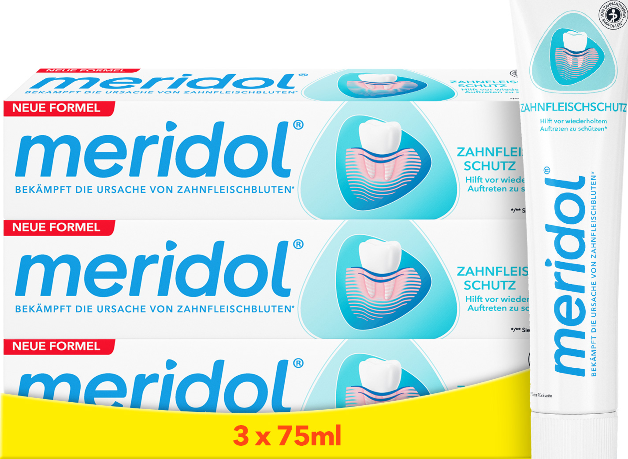 meridol Toothpaste Gum Protection Multipack