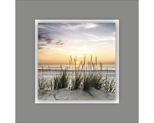 Pure Living Metal picture Beach IV 50x50 cm DA113