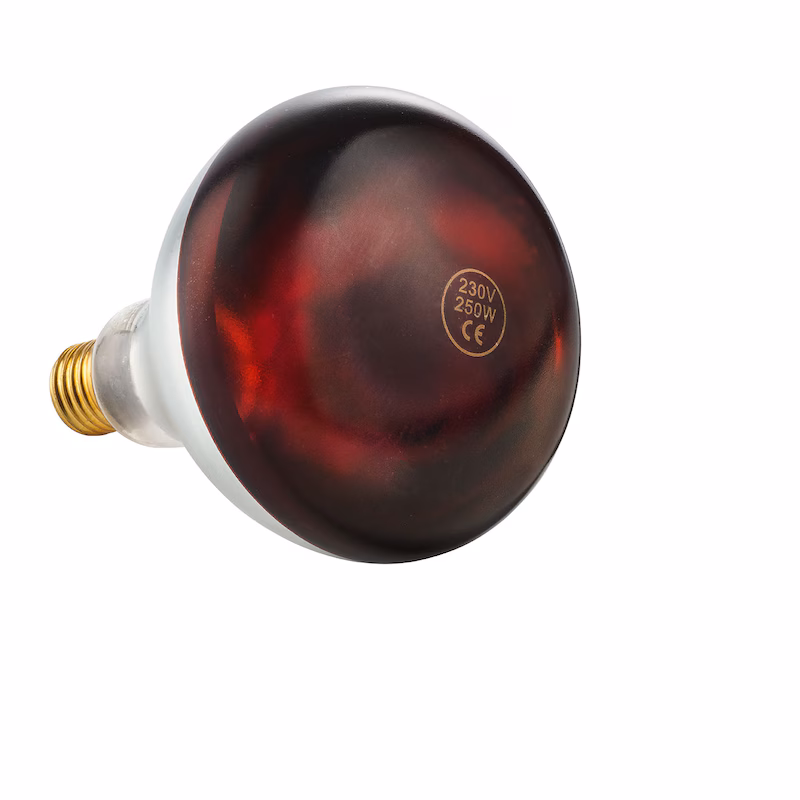 METRO Professional Infrared Bulb for Heat Lamp GWL1500R, Glass, 250 W, Lifespan: 5000 hours, Shatterproof, Red